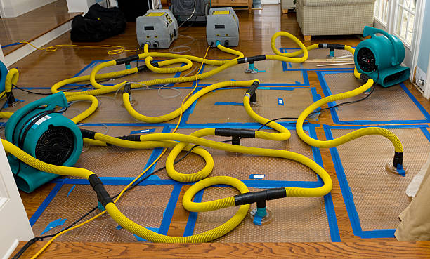 Professional Crawl Space Water Removal technician working in New Era, MI