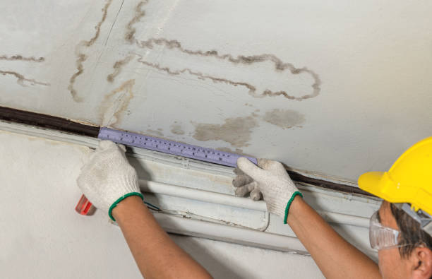 Affordable Water Damage Repair solutions in New Era, MI